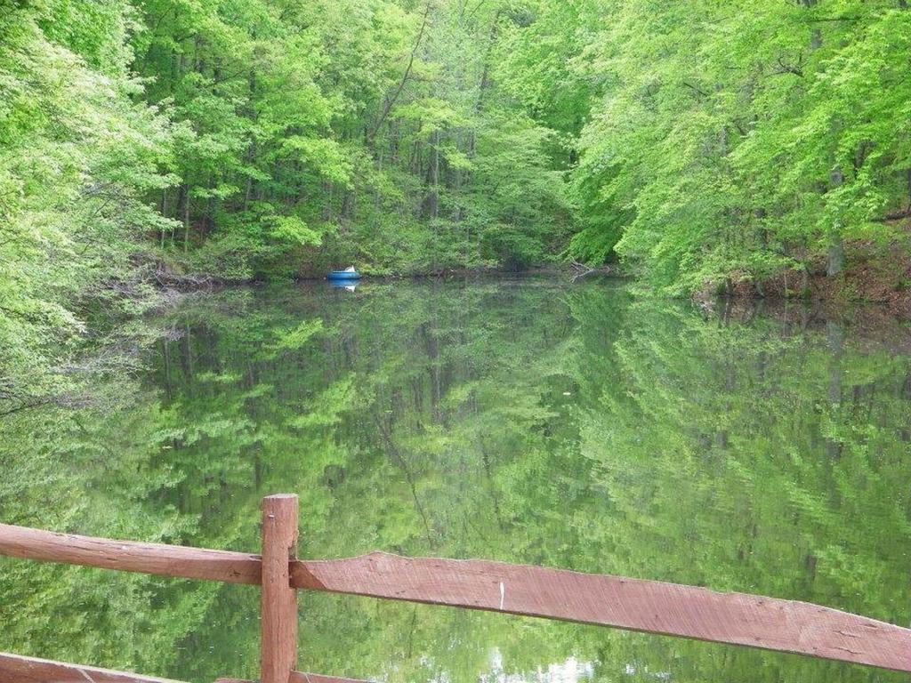 Lake Myers Lakeside Villa 16 Mocksville المظهر الخارجي الصورة